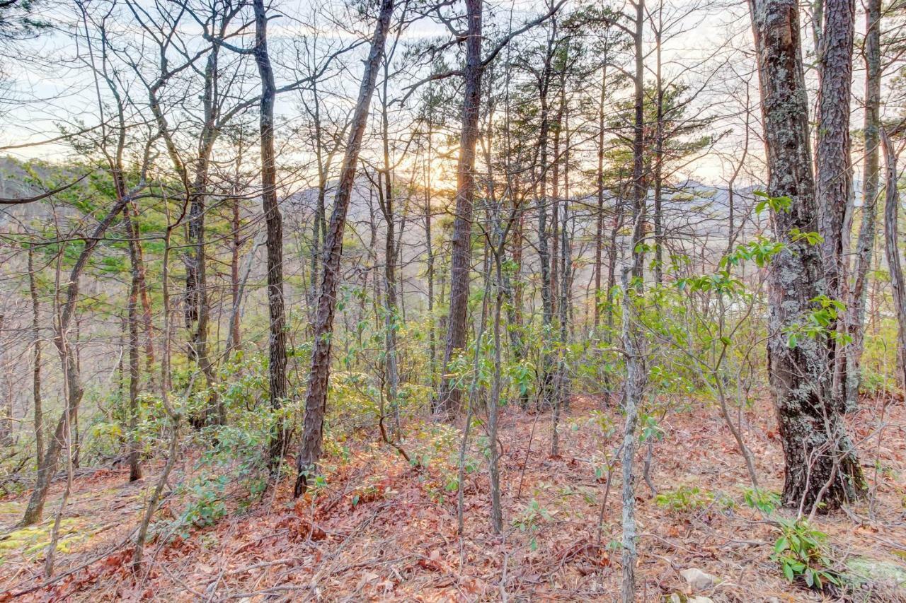 Misty View Cabin Hatchertown エクステリア 写真