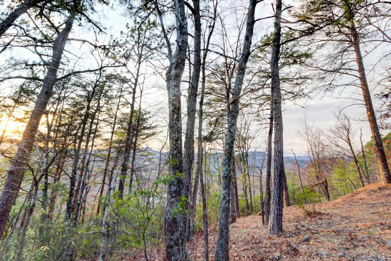 Misty View Cabin Hatchertown エクステリア 写真