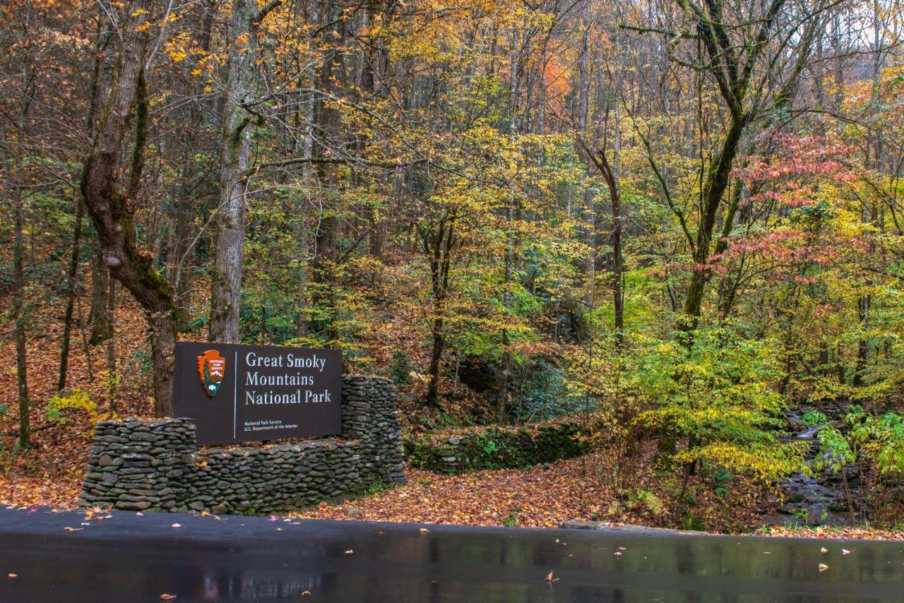 Misty View Cabin Hatchertown エクステリア 写真